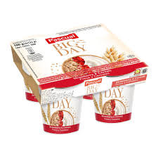 YAOURT BIG DAY FRAISE & CEREALES