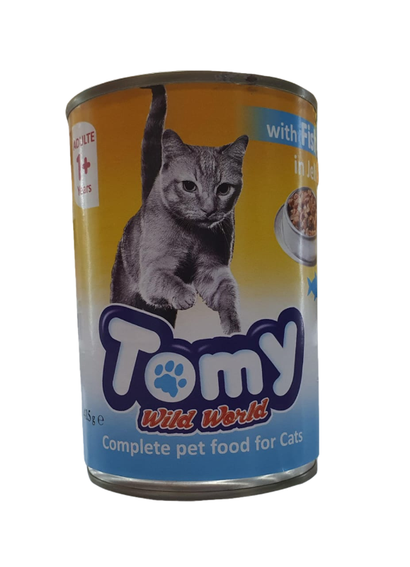 TOMY FISH